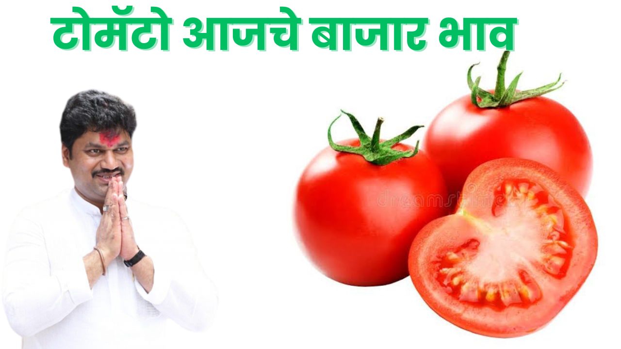  Tomato Prices