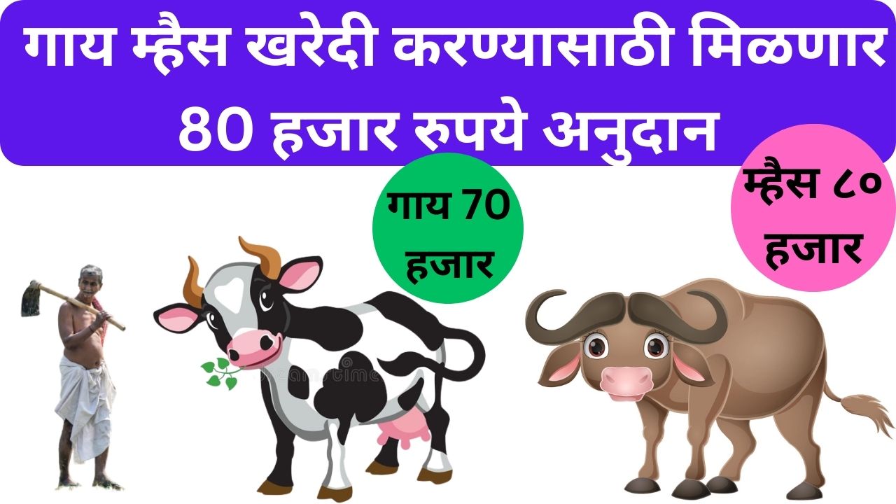 Milch Animal Subsidy Scheme:दुधाळ जनावरे गट वितरण्याठी मान्यता, प्रती